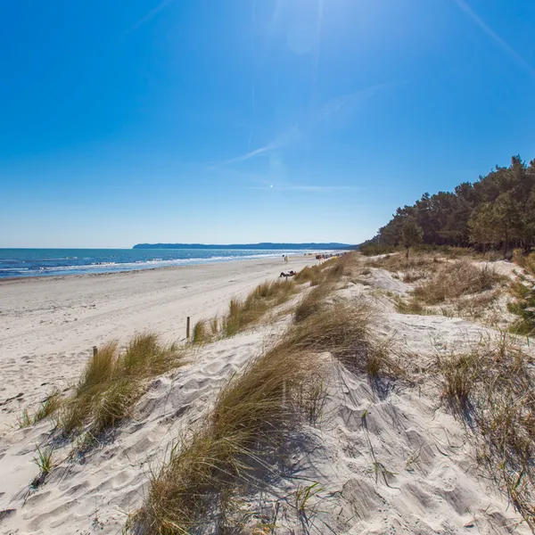 Strand in Prora